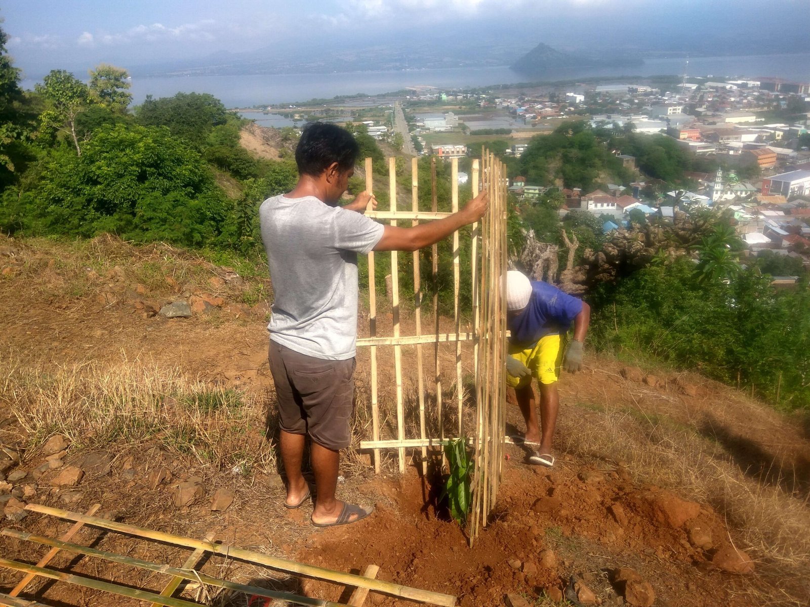 Penanaman 50 Bibit di Kebun Gindi dan Kebun Doro Raja