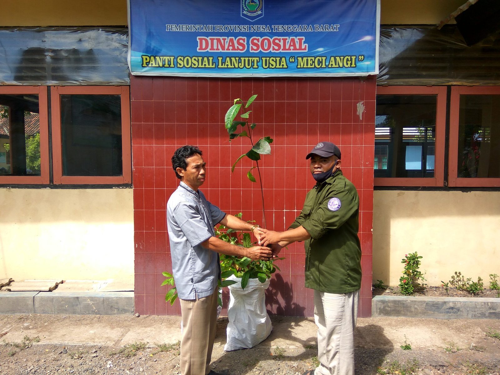Bibit Buah Nangka dan Alpokat Untuk Panti Sosial Meci Angi